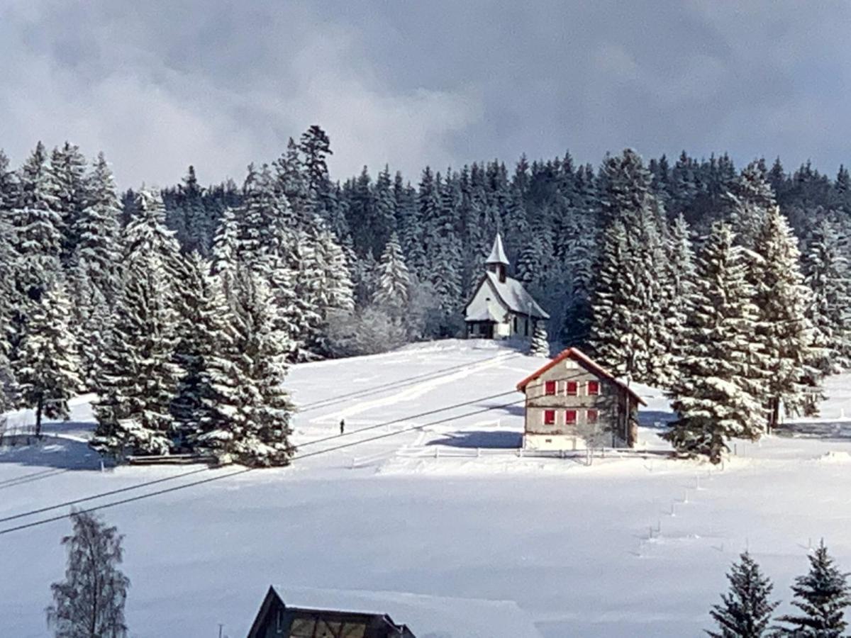 Haus Am Sonnenberg,Todtnauberg, Ferienwohnung 002, Direkt Am Skilift-Skipiste, Naehe Feldberg Exterior foto