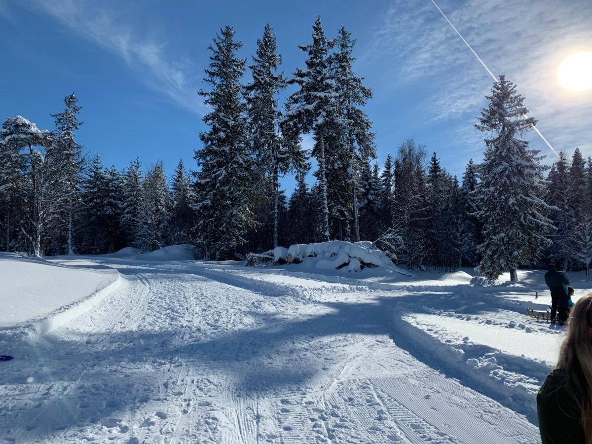 Haus Am Sonnenberg,Todtnauberg, Ferienwohnung 002, Direkt Am Skilift-Skipiste, Naehe Feldberg Exterior foto